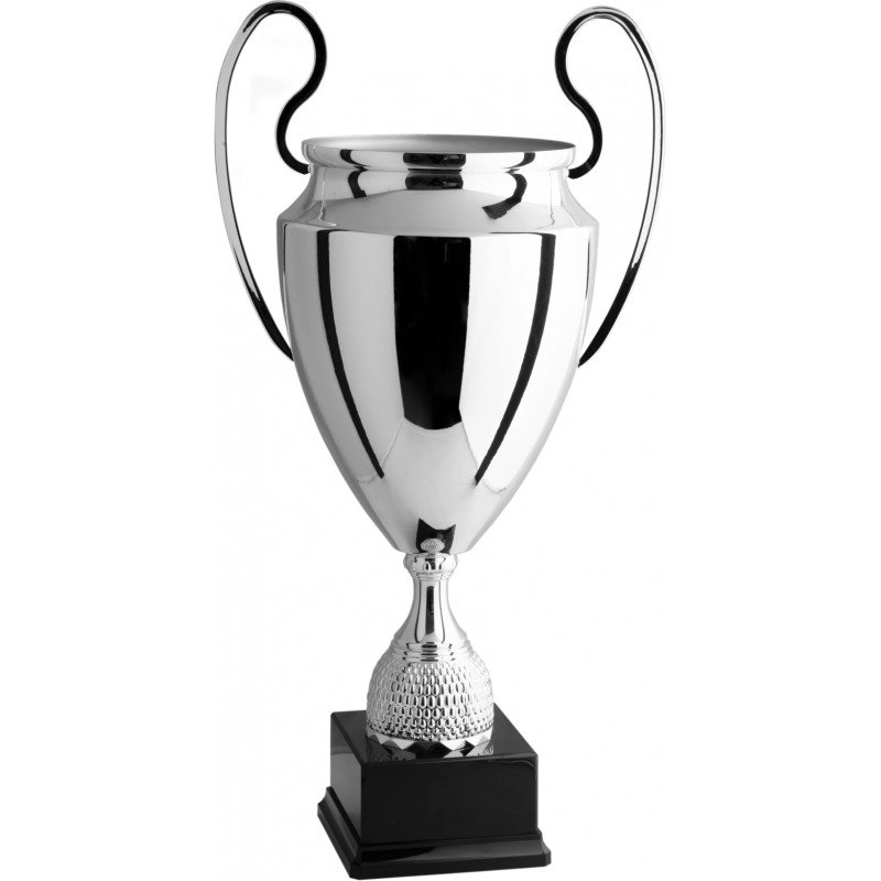 Immagine Trofeo con manici Parigi