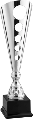 Immagine Trofeo Vienna