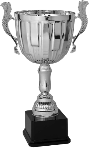 Immagine Trofeo con manici Praga