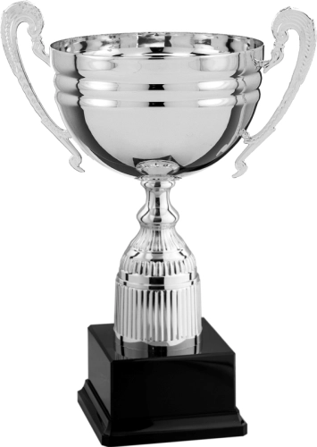 Immagine Trofeo con manici Londra