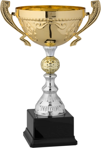 Immagine Trofeo con manici Madrid