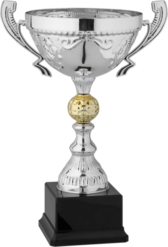 Immagine Trofeo con manici Valencia