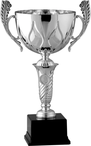 Immagine Trofeo con manici Sidney