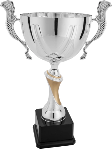 Immagine Trofeo con manici Seattle