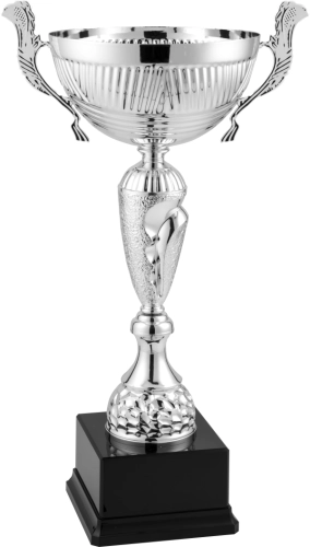 Immagine Trofeo con manici Singapore