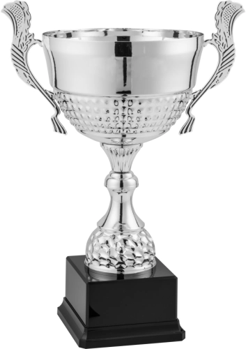 Immagine Trofeo con manici Boston