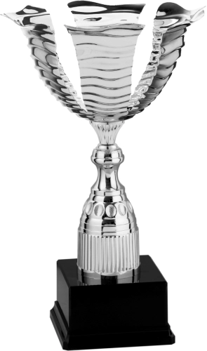 Immagine Trofeo con manici Lione