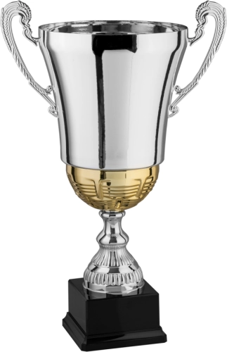 Immagine Trofeo con manici Nizza