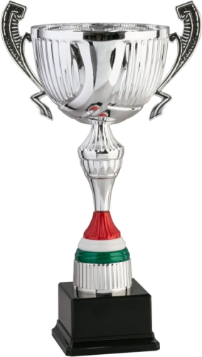 Immagine Trofeo con manici Berna