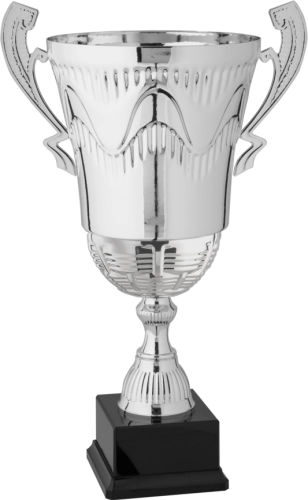 Immagine Trofeo con manici Lima