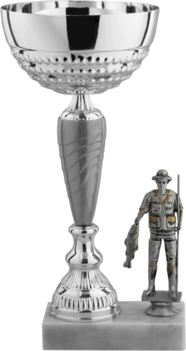 Immagine Trofeo Porto