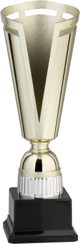 Immagine Trofeo Kyoto