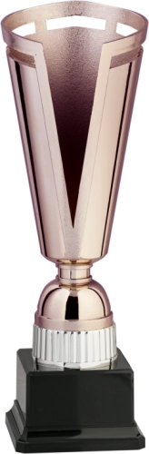 Immagine Trofeo Kyoto