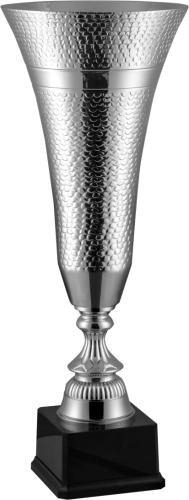 Immagine Trofeo Denver