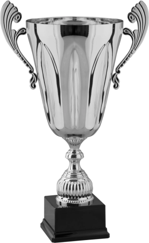 Immagine Trofeo con manici Vegas