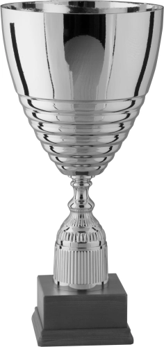 Immagine Trofeo Malaga