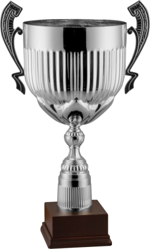 Immagine Trofeo con manici Bordeaux