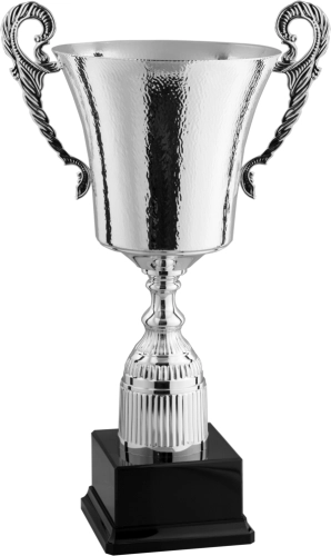 Immagine Trofeo con manici Toledo