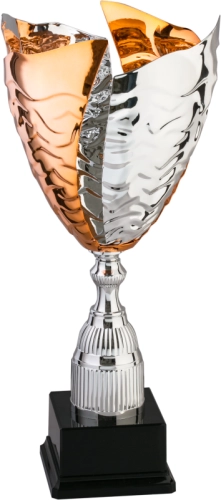 Immagine Trofeo Rabat