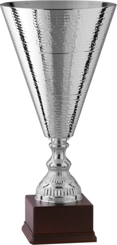 Immagine Trofeo Sarajevo