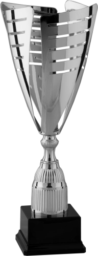 Immagine Trofeo Lipsia
