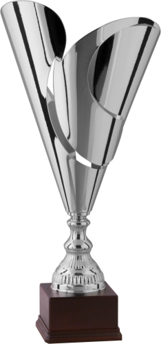 Immagine Trofeo Hannover