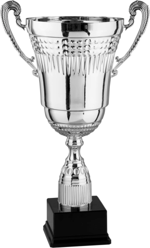 Immagine Trofeo con manici Rotterdam