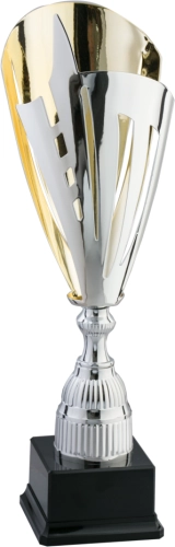 Immagine Trofeo Mumbai