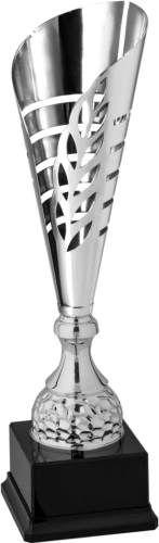 Immagine Trofeo Marsiglia