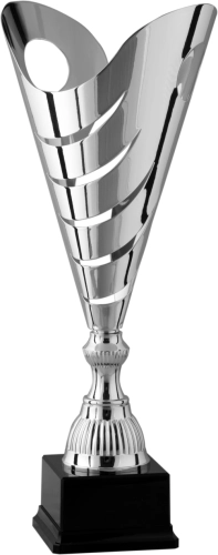 Immagine Trofeo Colonia