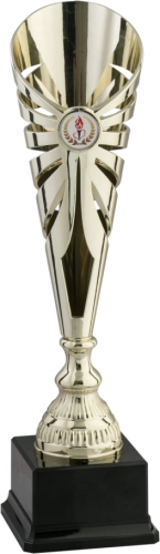 Immagine Coppa Nantes