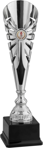 Immagine Coppa Nantes