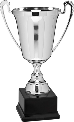 Immagine Coppa con manici Birmingham