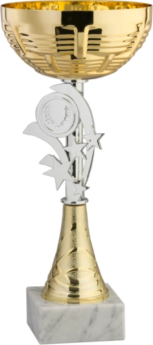 Immagine Coppa Galway