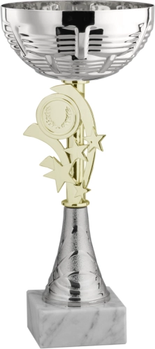 Immagine Coppa Lagos