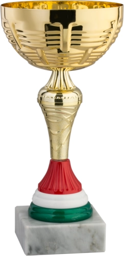 Immagine Coppa Santiago