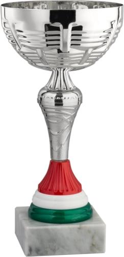 Immagine Coppa Santiago