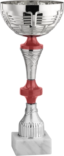 Immagine Coppa Strasburgo