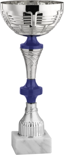 Immagine Coppa Strasburgo