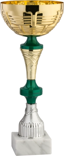 Immagine Coppa Rotterdam