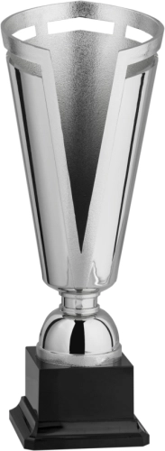 Immagine Coppa Norimberga