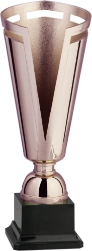 Immagine Coppa Norimberga