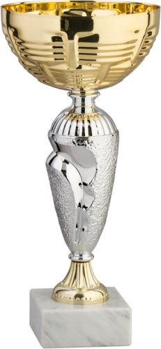 Immagine Coppa Oxford