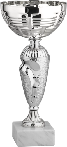 Immagine Coppa Oxford