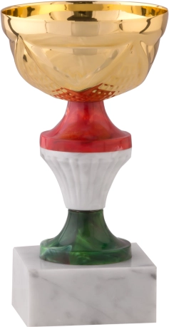 Immagine Coppa Basel