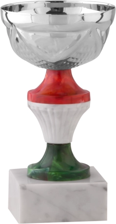 Immagine Coppa Basel