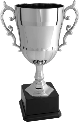 Immagine Coppa con manici Malmo