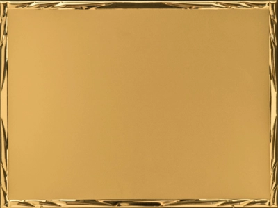 Immagine Targa Bravo