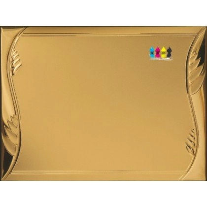 Immagine Targa Shadow