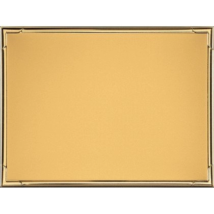 Immagine Targa Blaze